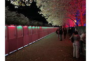 Pop-up Toilet Events