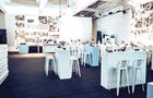 Wild Gallery