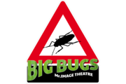 Big Bugs Show