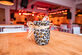 Eventroom - African-Belgian wedding - Foto 12