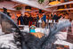 Eventroom - African-Belgian wedding - Foto 31