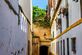 Incentive Sevilla: zon, cultuur en hernieuwde business inspiratie - Foto 5