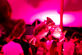 Cegeka Superheroes - annual staff party - Foto 7