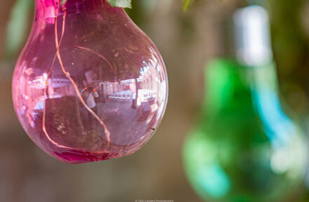 Huwelijk Kirsten en Arnold - Foto 1