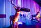 KPMG Kerstfeest - Foto 14
