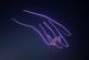 Stunning Drone Light Shows for Events in Turkey - Foto 2
