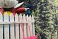 Croquet spel Alice in Wonderland - Foto 12