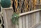 Steigerhout Green and wood - Foto 18