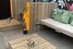 Steigerhout Green and wood - Foto 23