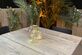 Steigerhout Green and wood - Foto 25