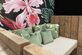 Steigerhout Green and wood - Foto 44