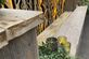 Steigerhout Green and wood - Foto 48