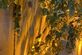 Steigerhout Green and wood - Foto 55