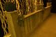 Steigerhout Green and wood - Foto 74