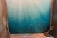 Under the sea - Foto 16