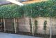 Onze patio - Foto 5
