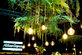 Urban Jungle Experience  - Foto 5