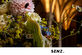 In the picture: Event of The Royal Museum of Art & History Brussels - Foto 4