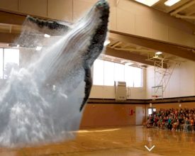 Magic Leap Conjures Up a Whale on Your Event
