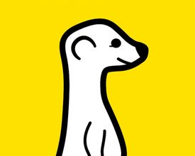 Livestreaming App Meerkat is Quitting